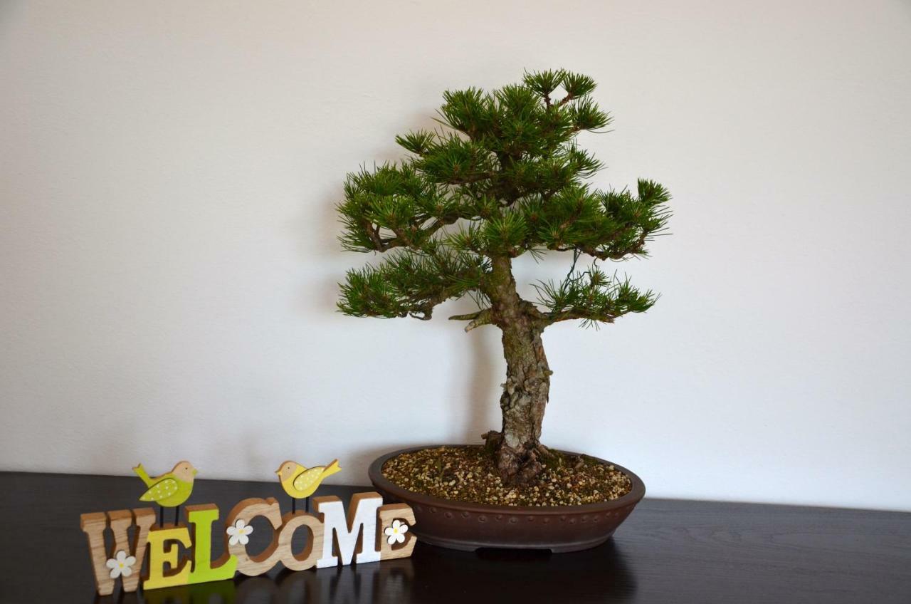 Bonsai House Portorož Exterior foto
